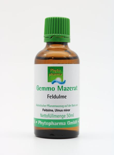 Gemmo Mazerat Feldulme (Ulmus minor)